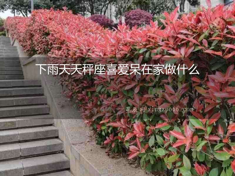 下雨天天秤座喜愛呆在家做什么