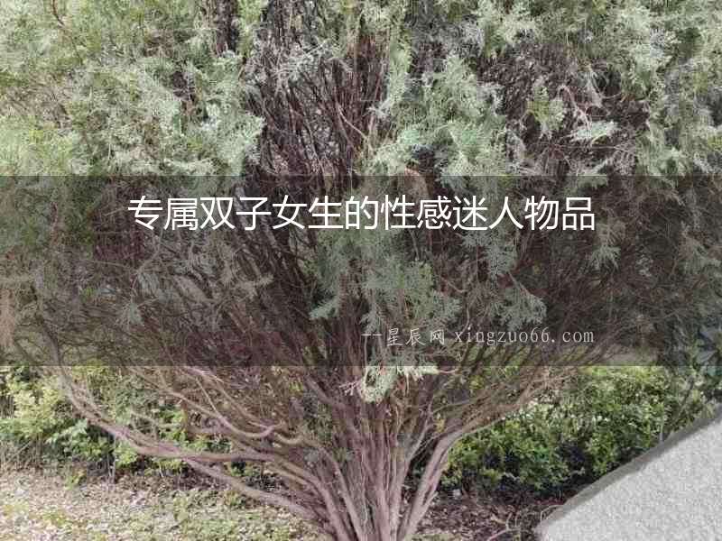 專(zhuān)屬雙子女生的性感迷人物品