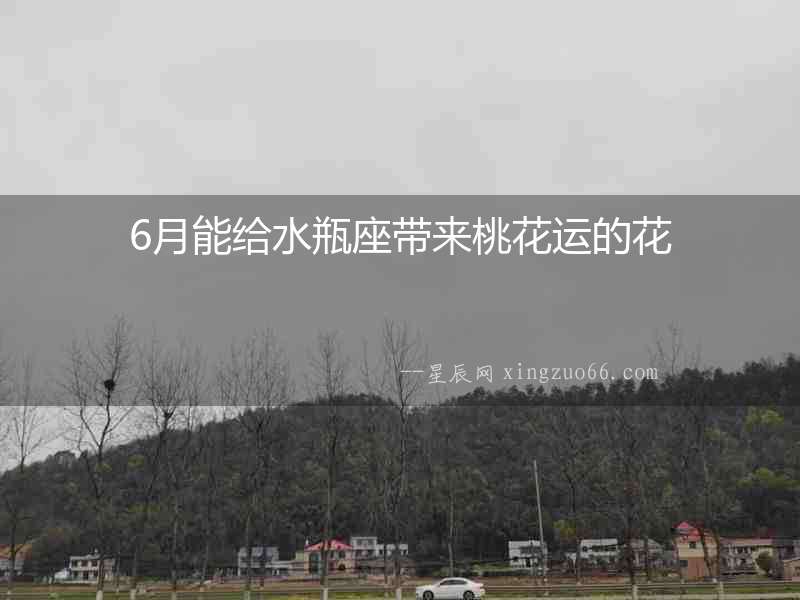 6月能給水瓶座帶來桃花運的花