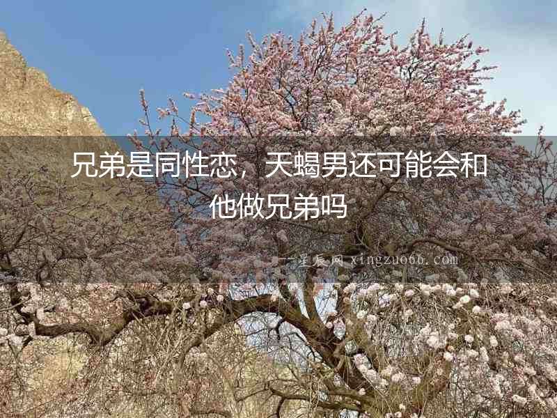 兄弟是同性戀，天蝎男還可能會和他做兄弟嗎