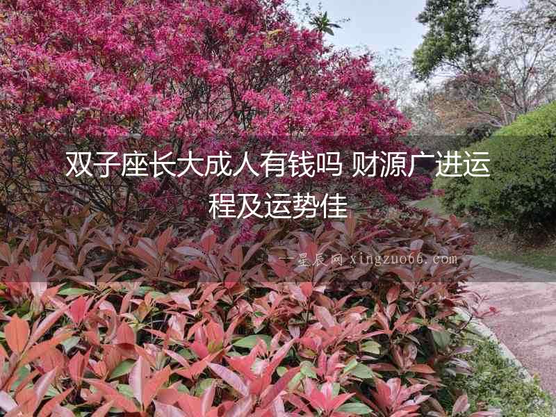 雙子座長大成人有錢嗎 財源廣進運程及運勢佳