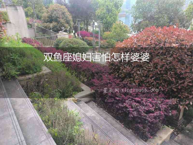 雙魚座媳婦害怕怎樣婆婆