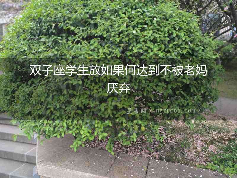 雙子座學生放如果何達到不被老媽厭棄