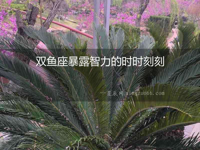 雙魚座暴露智力的時時刻刻