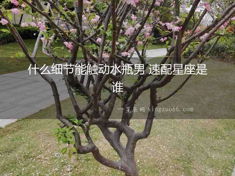 什么細(xì)節(jié)能觸動(dòng)水瓶男 速配星座是誰(shuí)