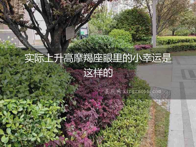 實(shí)際上升高摩羯座眼里的小幸運(yùn)是這樣的