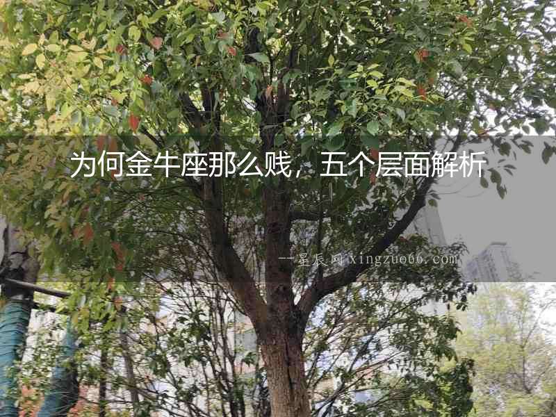 為何金牛座那么賤，五個層面解析