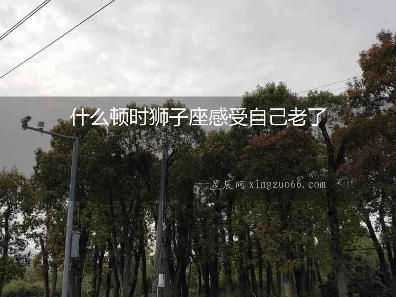 什么頓時(shí)獅子座感受自己老了