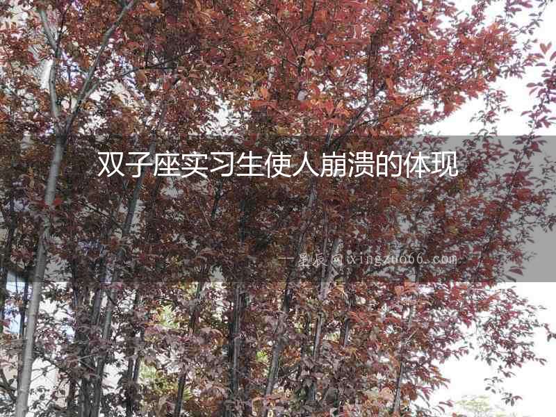 雙子座實習生使人崩潰的體現(xiàn)