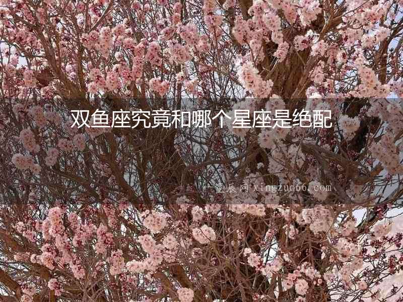 雙魚座究竟和哪個(gè)星座是絕配