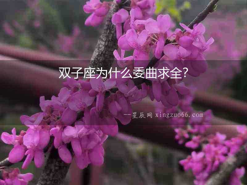 雙子座為什么委曲求全？
