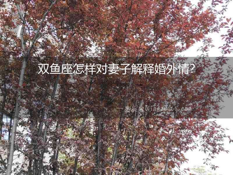 雙魚座怎樣對妻子解釋婚外情？