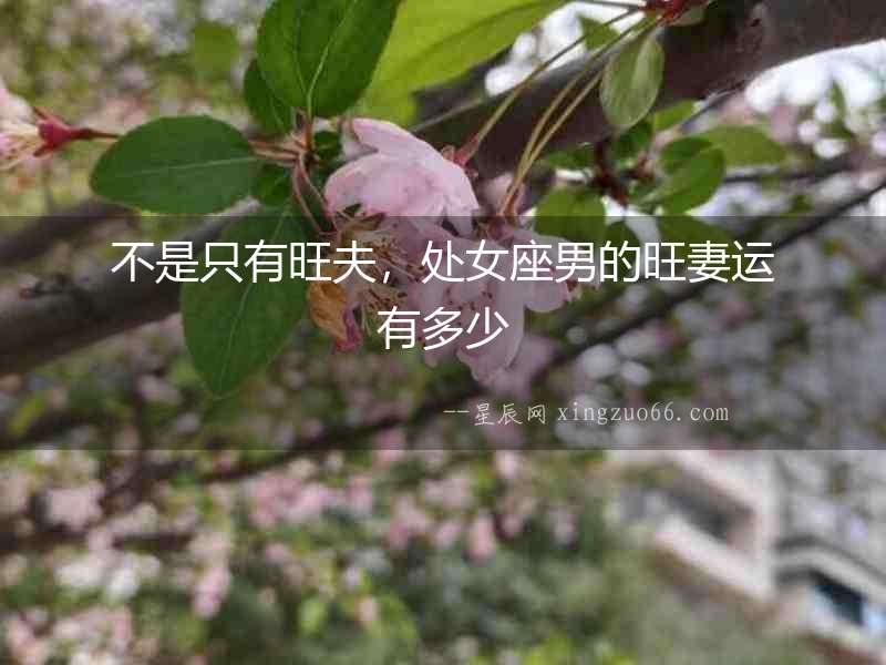 不是只有旺夫，處女座男的旺妻運有多少
