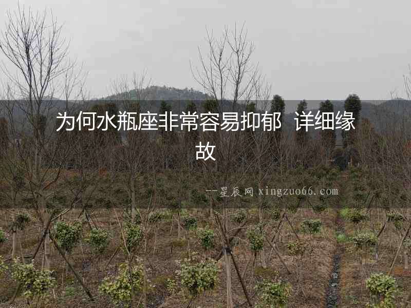 為何水瓶座非常容易抑郁  詳細緣故