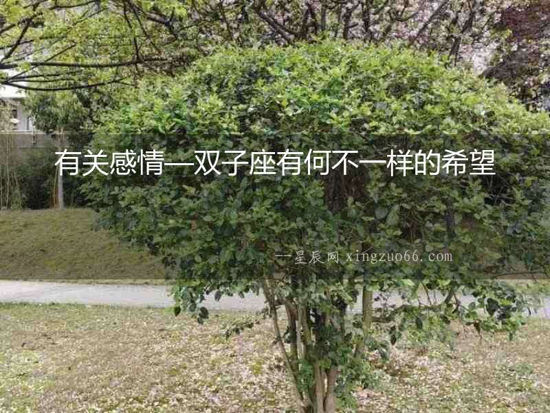有關(guān)感情—雙子座有何不一樣的希望