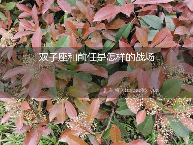 雙子座和前任是怎樣的戰(zhàn)場(chǎng)