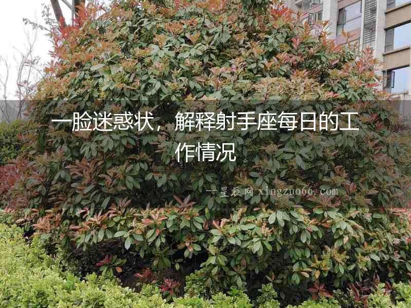 一臉迷惑狀，解釋射手座每日的工作情況