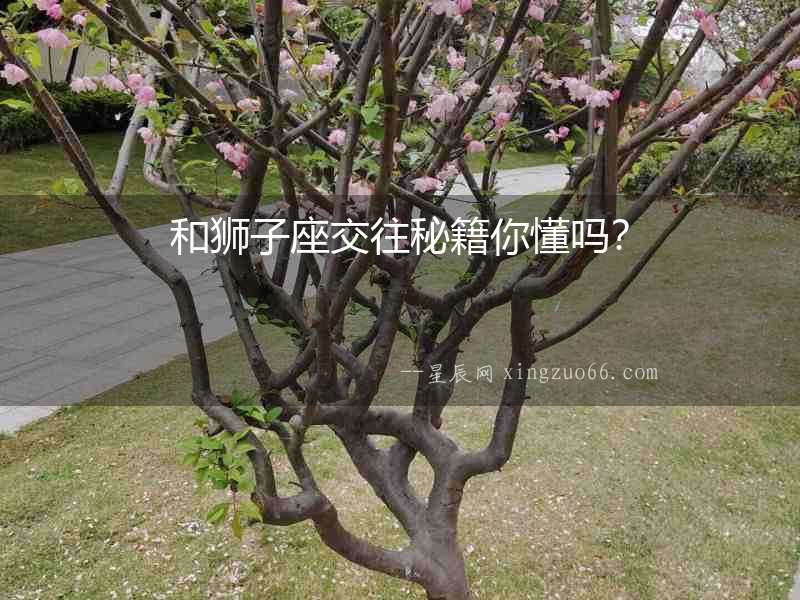 和獅子座交往秘籍你懂嗎？