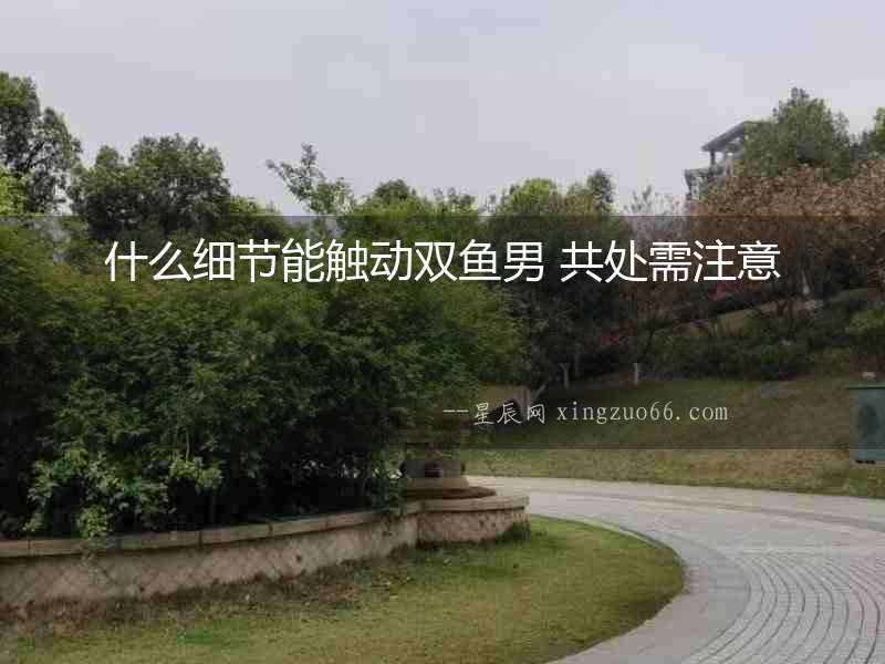 什么細(xì)節(jié)能觸動雙魚男 共處需注意