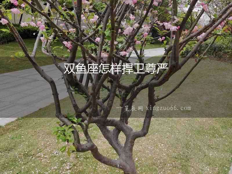 雙魚座怎樣捍衛尊嚴