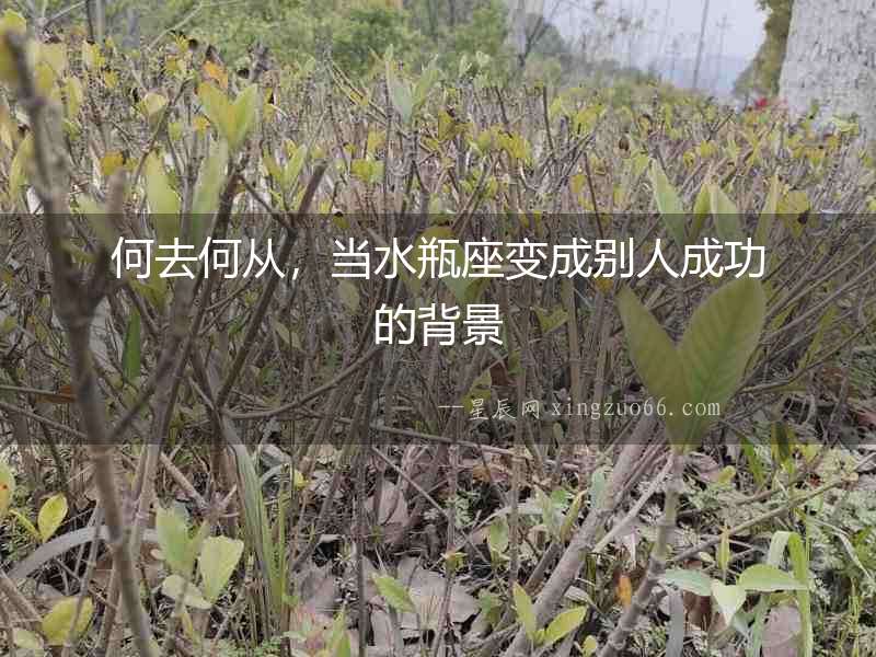 何去何從，當水瓶座變成別人成功的背景