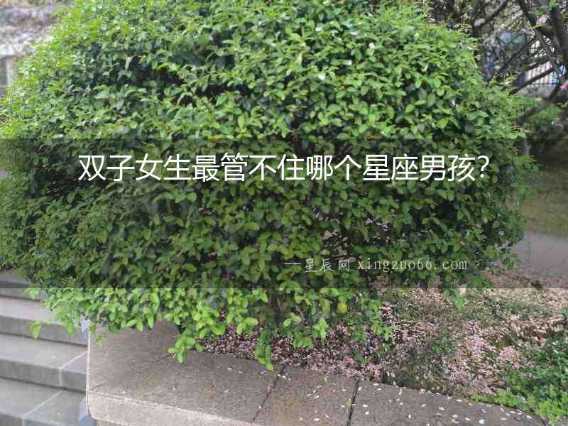 雙子女生最管不住哪個(gè)星座男孩？