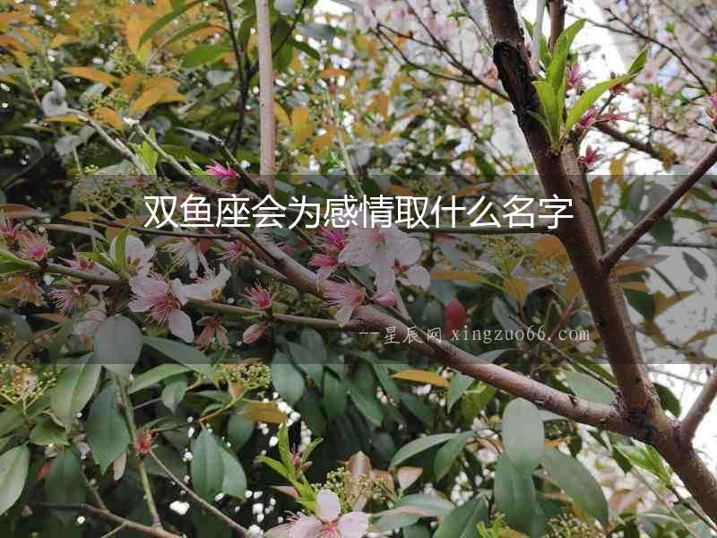 雙魚座會為感情取什么名字