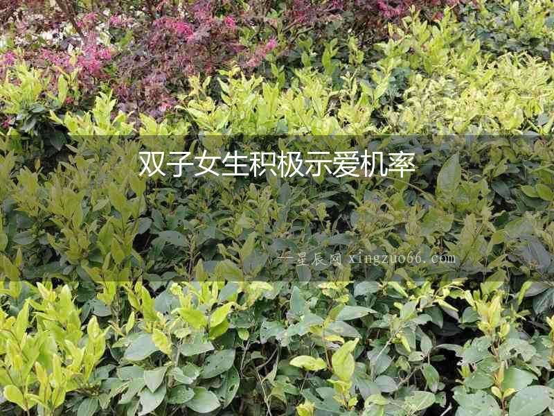 雙子女生積極示愛機(jī)率