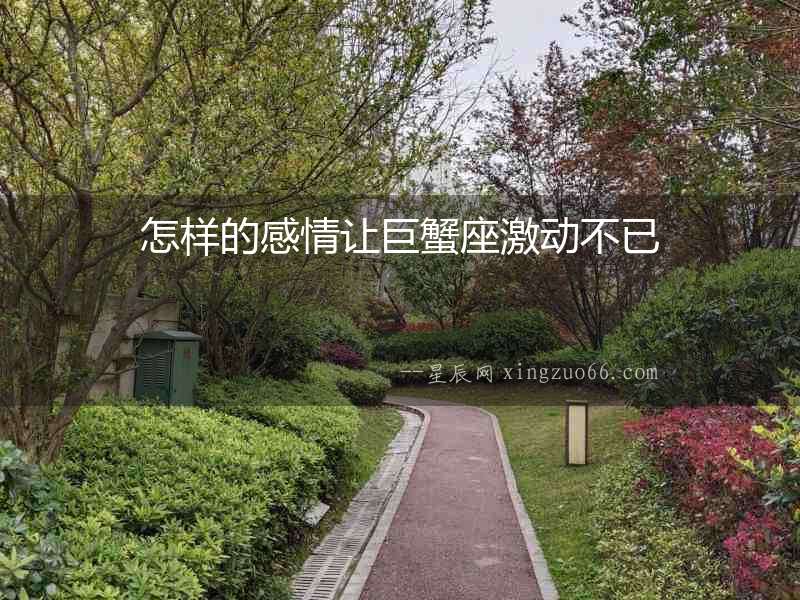 怎樣的感情讓巨蟹座激動不已