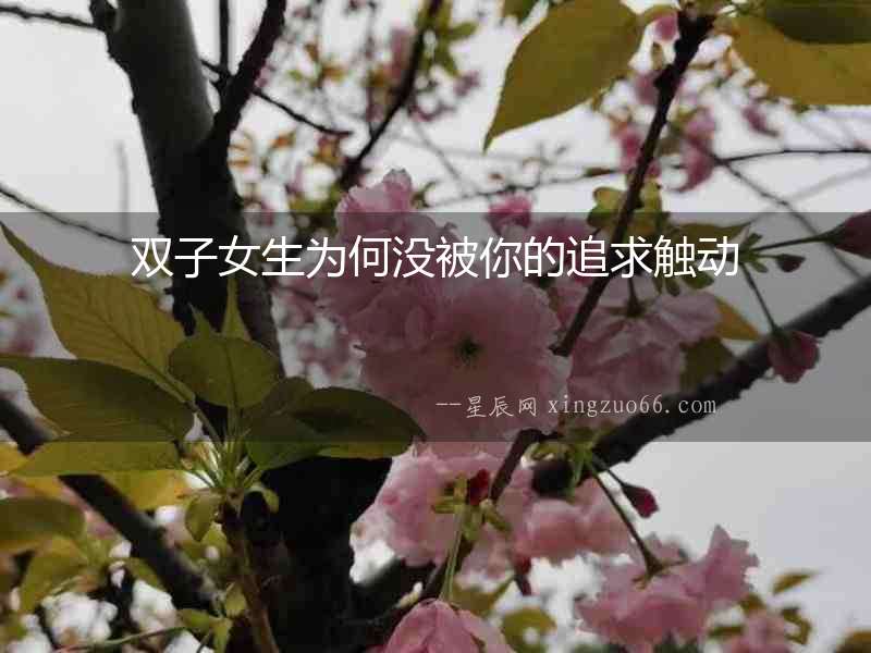 雙子女生為何沒被你的追求觸動(dòng)