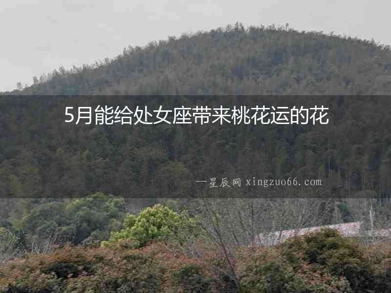 5月能給處女座帶來桃花運(yùn)的花