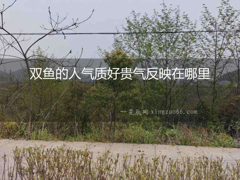 雙魚的人氣質好貴氣反映在哪里
