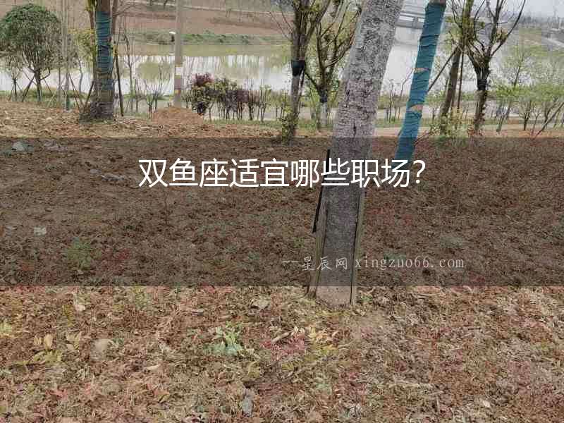 雙魚座適宜哪些職場？