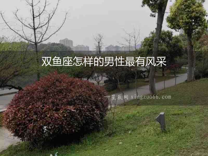 雙魚座怎樣的男性最有風(fēng)采