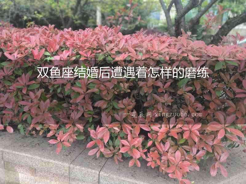 雙魚座結(jié)婚后遭遇著怎樣的磨練