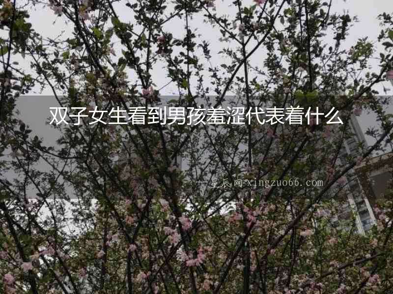 雙子女生看到男孩羞澀代表著什么