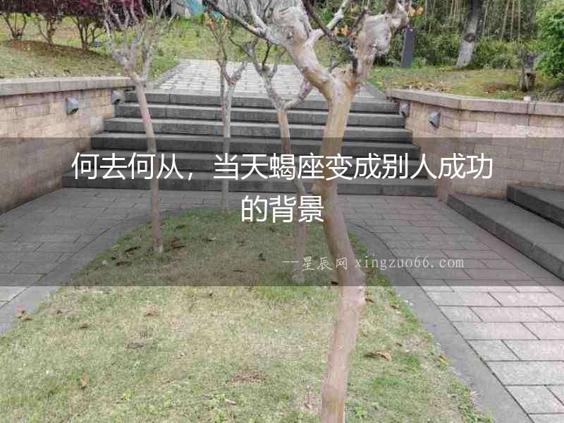 何去何從，當天蝎座變成別人成功的背景
