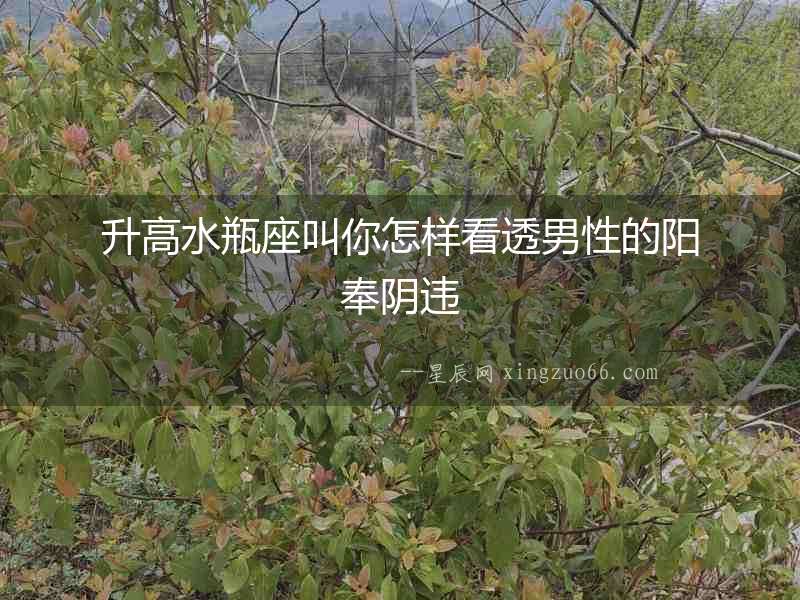 升高水瓶座叫你怎樣看透男性的陽奉陰違