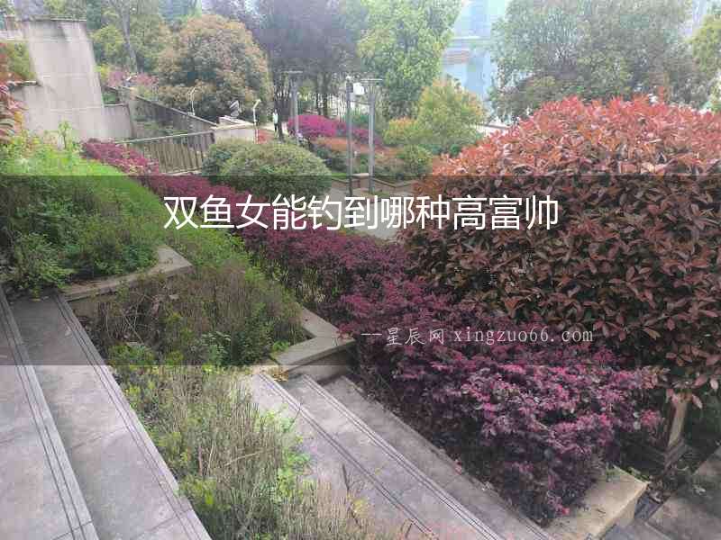 雙魚(yú)女能釣到哪種高富帥