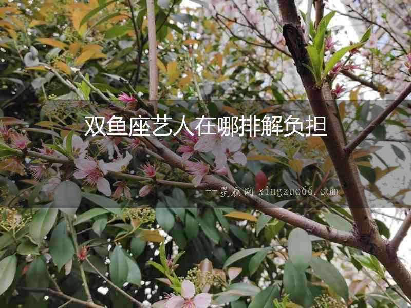 雙魚座藝人在哪排解負擔