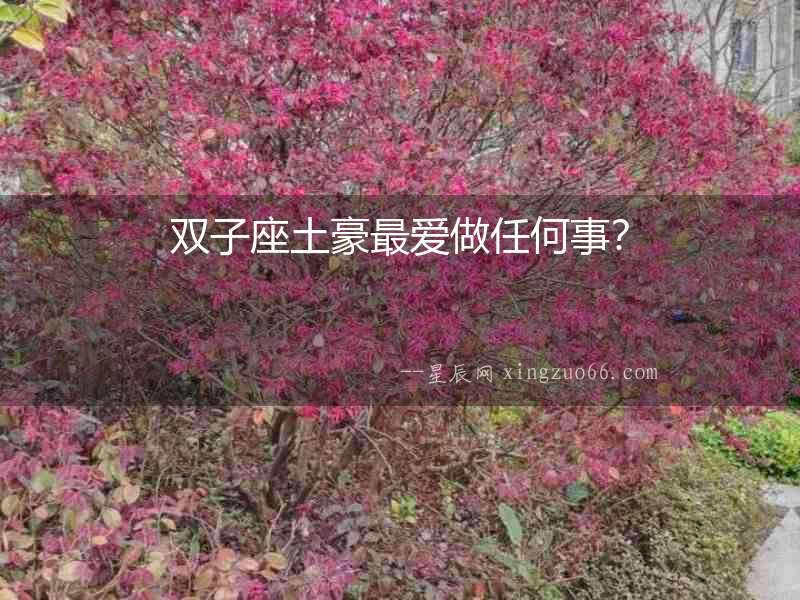 雙子座土豪最?lèi)?ài)做任何事？