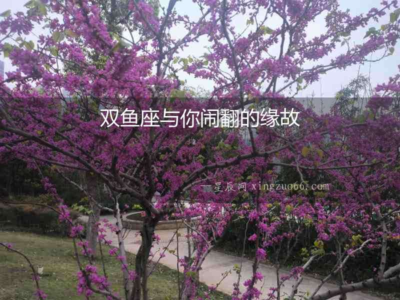 雙魚(yú)座與你鬧翻的緣故