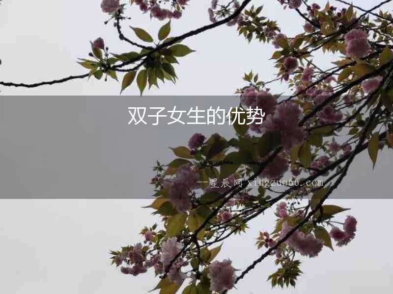 雙子女生的優(yōu)勢