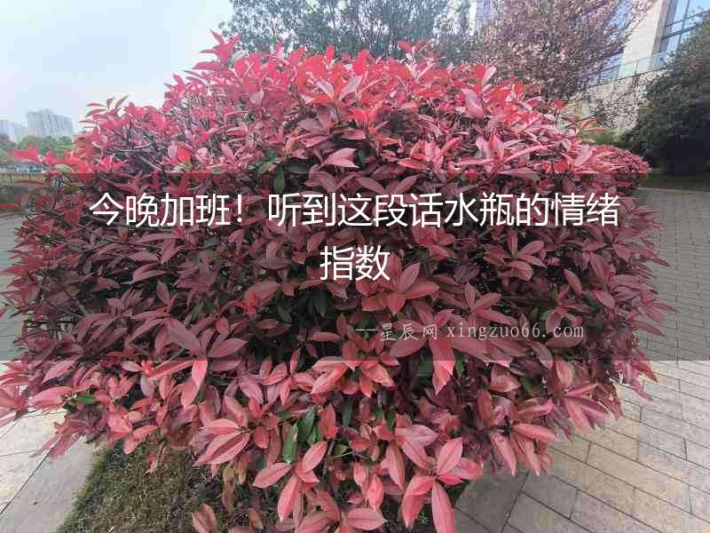今晚加班！聽到這段話水瓶的情緒指數(shù)