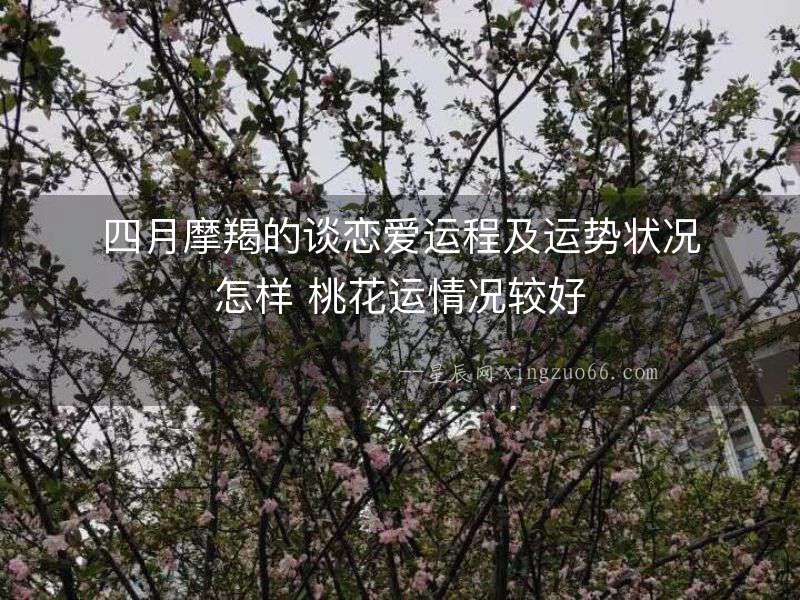 四月摩羯的談戀愛運(yùn)程及運(yùn)勢狀況怎樣 桃花運(yùn)情況較好