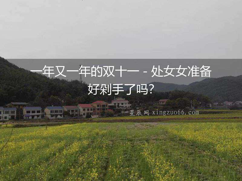 一年又一年的雙十一－處女女準(zhǔn)備好剁手了嗎？