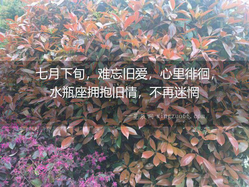 七月下旬，難忘舊愛，心里徘徊，水瓶座擁抱舊情，不再迷惘