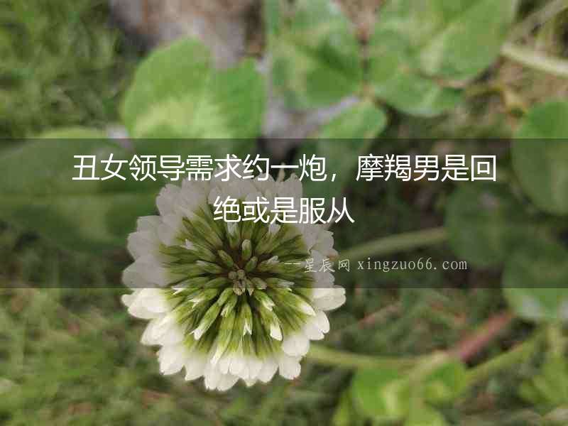 丑女領導需求約一炮，摩羯男是回絕或是服從