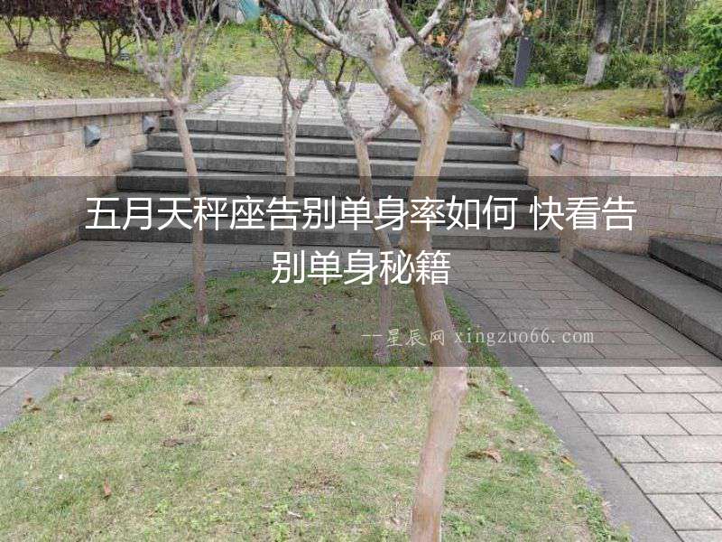 五月天秤座告別單身率如何 快看告別單身秘籍