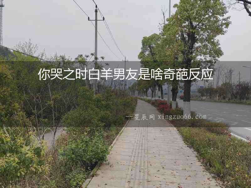 你哭之時白羊男友是啥奇葩反應(yīng)